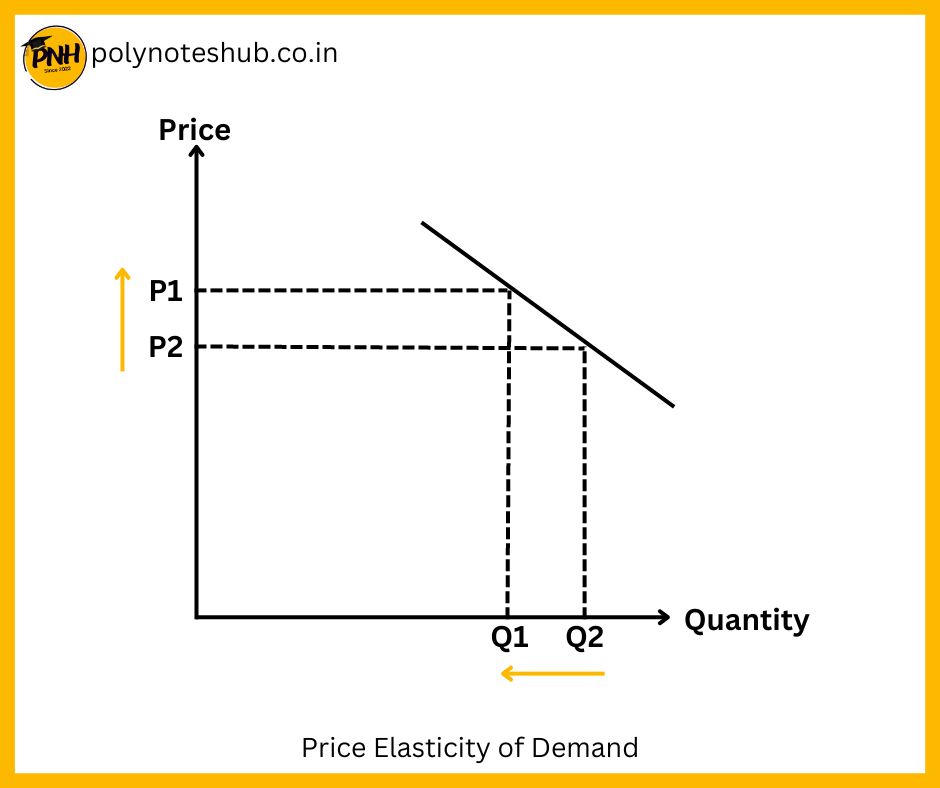 price elasticity of demand - poly notes hub