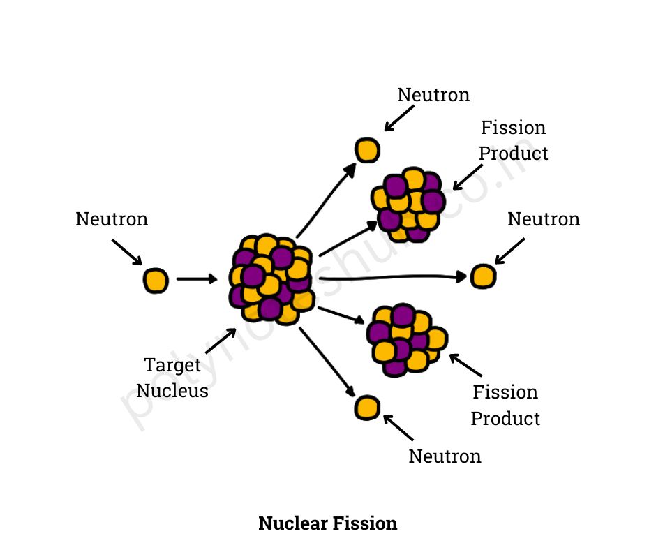 process of nuclear fission - poly notes hub