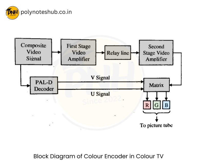 What is vector quantity examples new topic 2025 poly notes hub