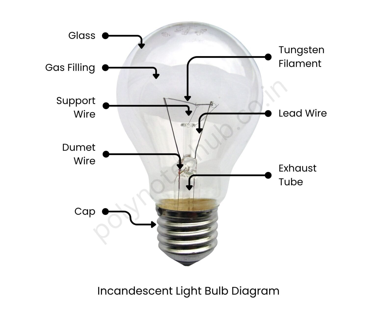 Incandescent Light Bulb Diagram | New Topic - Poly Notes Hub
