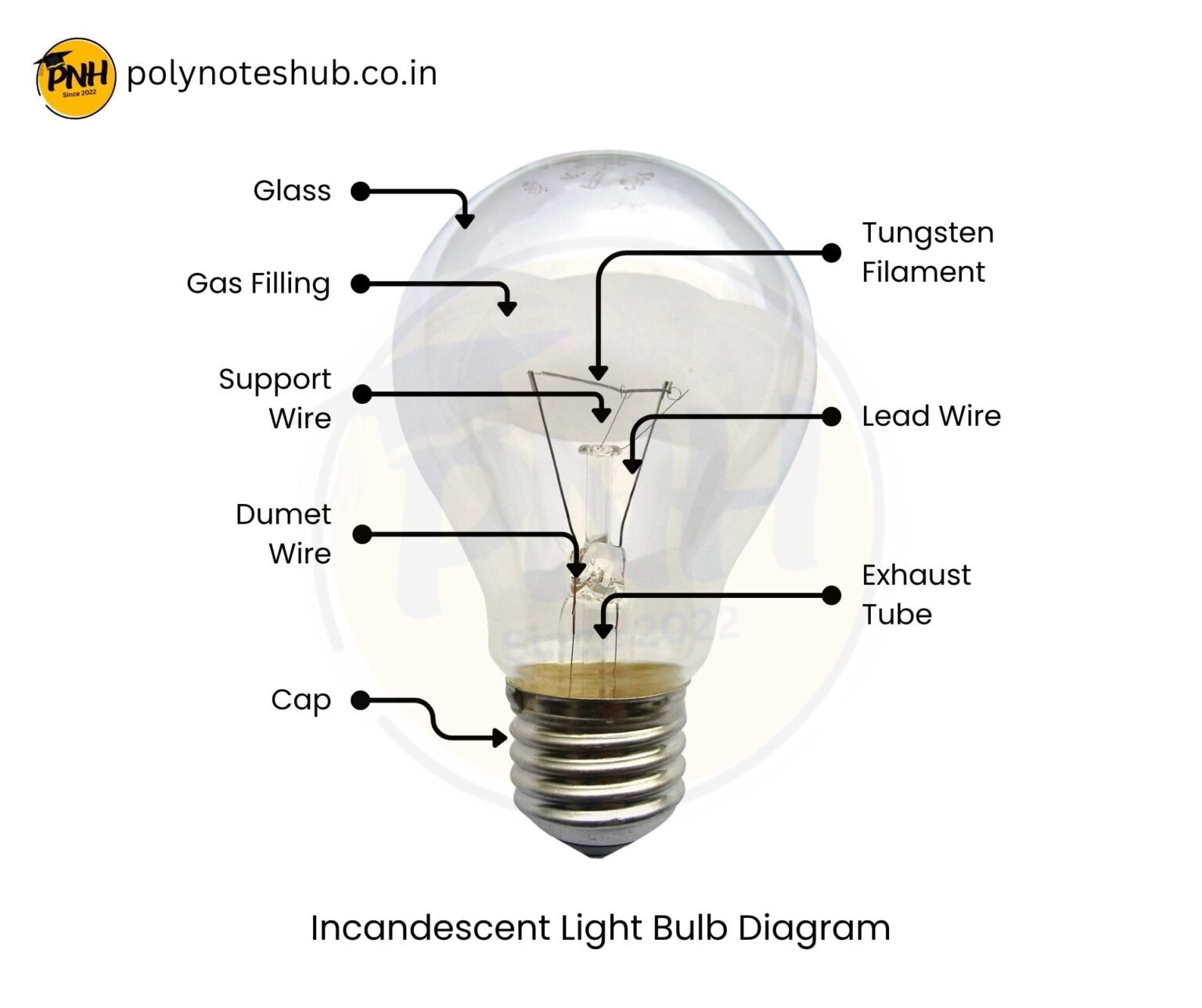 Incandescent Light Bulb Diagram | New Topic - Poly Notes Hub